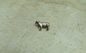 product_small_img5